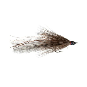Rainy's Lefty's Deceiver Cockroach