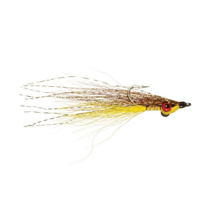 Rainy's Clouser's Deep Minnow Fly