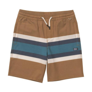 Boys' Salty Crew Stripe Volley Swim Trunks Medium Bronze