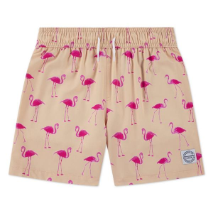 Boys' abercrombie kids Core Poly Swim Trunks 15/16 Bellini