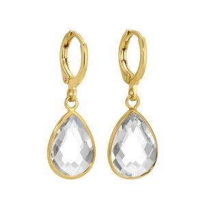 Splendid Iris Crystal Teardrop Earrings Clear