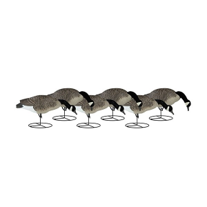 Dakota Decoy Canada Goose Full Body Flocked Feeder 6-Pack