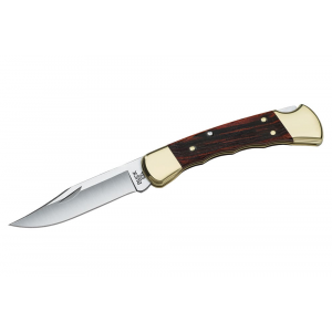 Buck Knives 110 Folding Hunter Knife