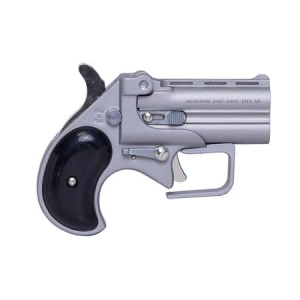 Cobra Enterprise Inc 38 Special Big Bore Derringer Guardian Package with Satin Finish and Black Grips