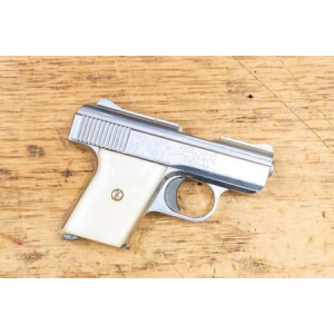 Raven Arms MP-25 25 ACP Police Trade-in Pistol