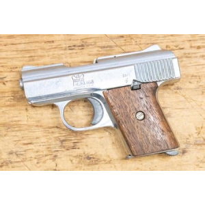 Raven Arms MP-25 25 ACP Police Trade-in Pistol