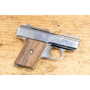Raven Arms MP-25 25 ACP Police Trade-in Pistol