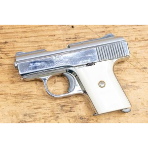 Raven Arms MP-25 25 ACP Police Trade-in Pistol