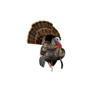 Avian X HDR Strutter