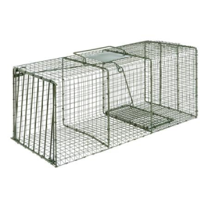 Duke HD X-Large Cage Trap for Racoon, Fox, Cat