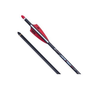 Ten Point 20 in Centerpunch HPC Carbon Arrows with Alpha Nock - 6 Pack