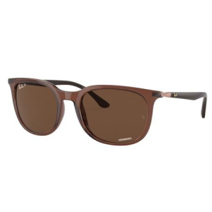 Ray-Ban RB4386 Sunglasses with Transparent Brown Frame and Brown Polarized Lenses