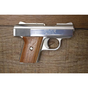Raven Arms MP-25 25 ACP Police Trade-in Pistol