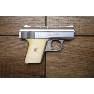 Raven Arms MP-25 25 ACP Police Trade-in Pistol (No Magazine)
