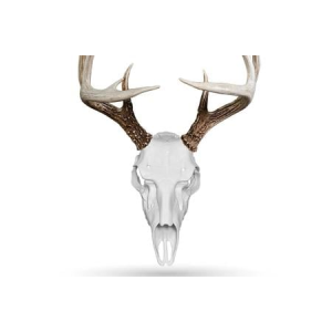 Illusion Systems Llc Skull Master Mount System - White