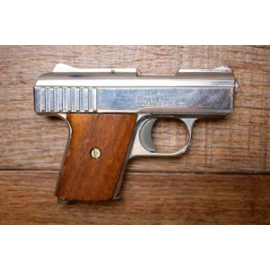 Raven Arms P-25 25 ACP Police Trade-In Pistol