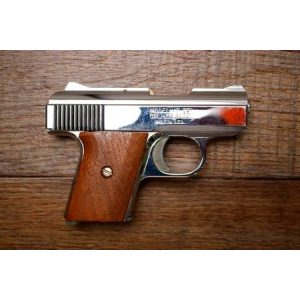 Raven Arms MP-25 25 ACP Police Trade-In Pistol