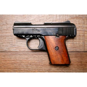 Raven Arms MP-25 25 ACP Police Trade-In Pistol