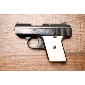Raven Arms MP-25 25ACP Police Trade-In Pistol (No Magazine)
