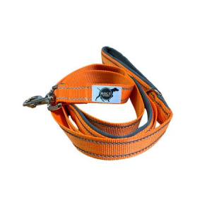 Roct Outdoor Trailhead Padded Dog Leash With Heel Handle in Orange
