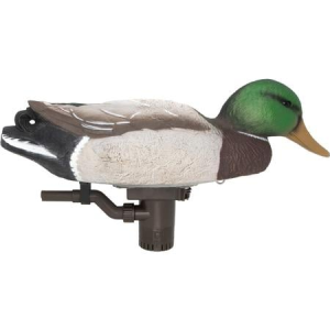 Higdon Mallard Battleship Swimmer Mallard Drake Species