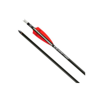 Ten Point EVO-X Centerpunch 20 Inch Carbon Arrow