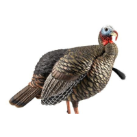 Avian X HDR Jake Turkey Decoy Multi Color