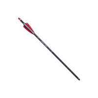 Ten Point CenterPunch HPX 20` Carbon Arrow Single