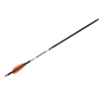 Wicked Ridge Match 400 Alpha-Nock Carbon Arrow 20 in .004 in Straightness