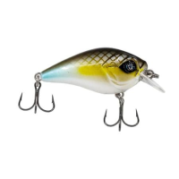 Catch Co Googan Squad Banger Mini and Micro