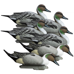 Higdon Outdoors Battleship Pintail Pintail Species Multi Color Foam Filled 6 Pack - Higdon Outdoors