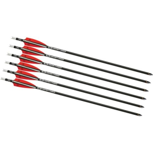 Tenpoint Xbow Arrow 16 in Evo-X Center Punch Alpha Nock 6Pk HEA750.6