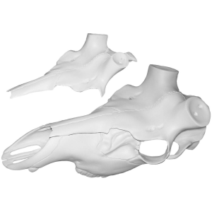 Mountain Mikes Elk Skull Master Universal Kit MMR ESM