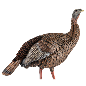 Avian X AVXAVX8106 HDR Hen Turkey Species Multi Color Decoy