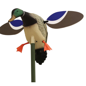 Mojo Outdoors HW4401 Baby Mojo Drake Mallard Species Multi Color Synthetic Decoy