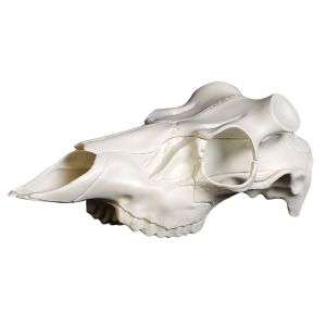 Mountain Mikes Skull Master Universal Antler Mounting Kit MMR SM