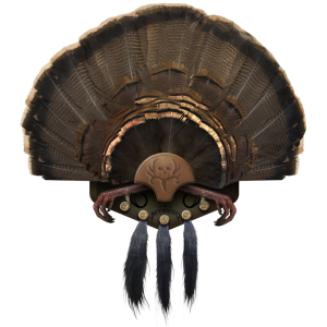 Mountain Mikes Beard Collector Display 5 Beards MMR BC