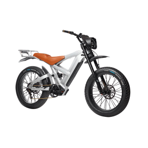 QuietKat Inc LYX-VPO-ALY-OS Lynx Alloy/Orange, Medium 5'6 in to 6', Single Speed 1000W 2 Speed Hub Drive (VP0) Motor, 28mph+ Unrestricted Speed