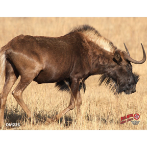 DuraMesh Archery Target Black Wildebeest 25 in x 32 in DM233