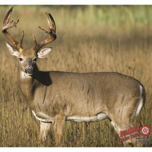 DuraMesh Archery Target Whitetail 4 25 in x 32 in DM222