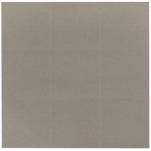 Allen 15803 Thermal Target Paste-On Paper 2 x 2 9 Pack,Paper Targets