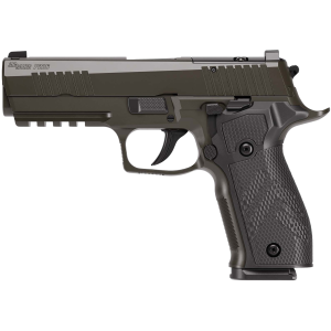 Sig Sauer 226X9LEGION10 P226X Legion Full Size Frame 9mm Luger 10+1 4.40 Black Match Grade Bull BBL, Legion Gray Cerakote Stainless Optic Ready/Serr Slide, Legion Gray Cerakote Alum Frame w/Pic Rail, Hogue G10 Grip,Pistol
