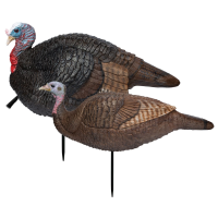 Primos 69075 Lil Gobblestopper Jake & Hen Combo Turkey Species Multi Color Decoy