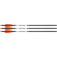 Wicked Ridge Xbow Arrow Match 400 Carbon 20 in Alpha Hp 3Pk HEA-760.3