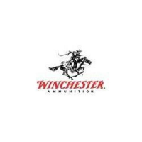 Winchester Ammo 46gr H SX HollowPt Rifle Ammunition