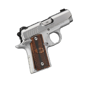 Kimber Micro Stainless Steel Raptor 9mm Pistol