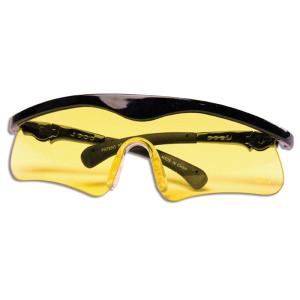 Daisy Shooting Glasses