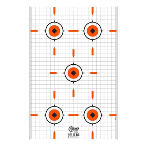 Allen EZ Aim Sight Grid Shooting Target & Backer