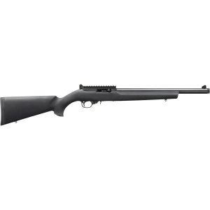 Ruger 10/22 22 LR RIfle with Sights