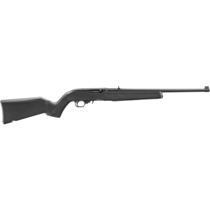 Ruger 10/22 Carbine 22 LR Rifle